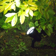 Solar, Light, Outdoor